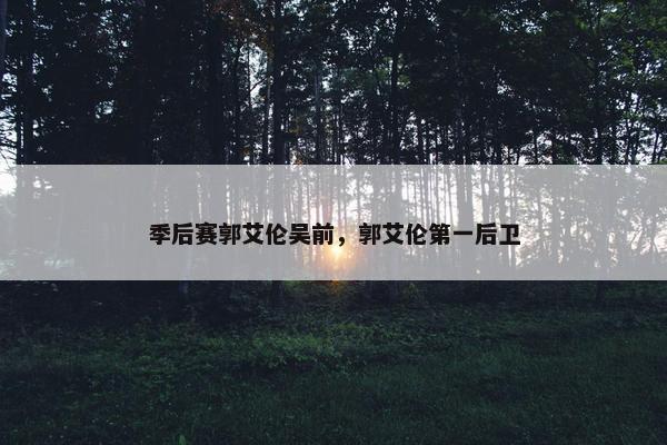 季后赛郭艾伦吴前,郭艾伦第一后卫 季后赛郭艾伦吴前,郭艾伦第一后卫