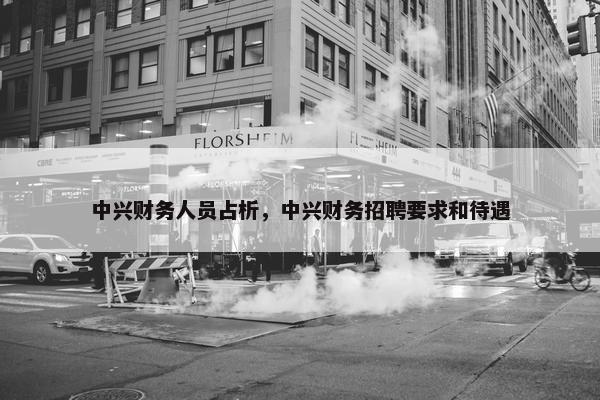 中兴财务人员占析，中兴财务招聘要求和待遇