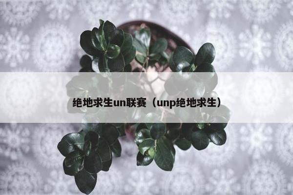 绝地求生un联赛(unp绝地求生) 绝地求生un联赛(unp绝地求生)