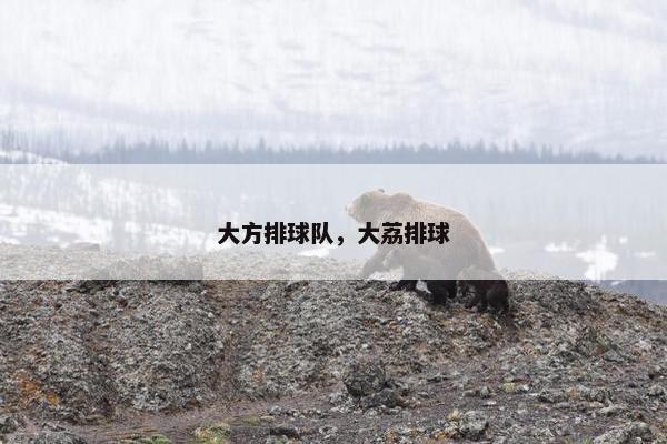 大方排球队，大荔排球