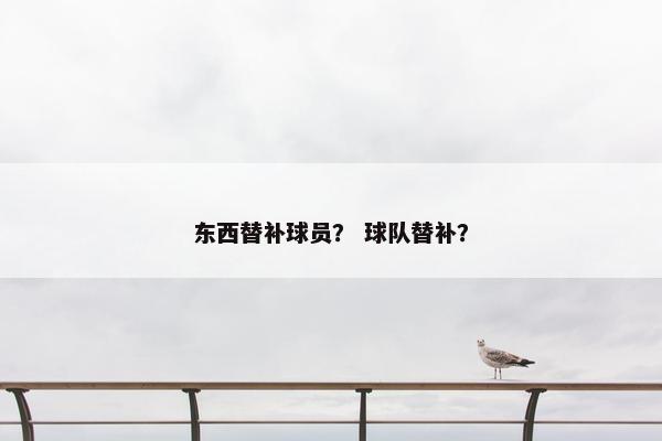 东西替补球员？ 球队替补？