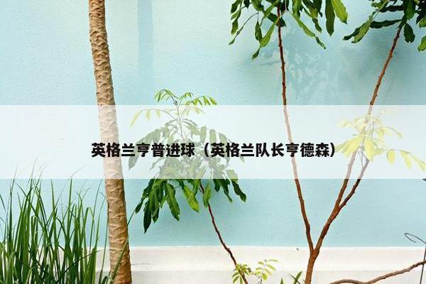 英格兰亨普进球(英格兰队长亨德森) 英格兰亨普进球(英格兰队长亨德森)