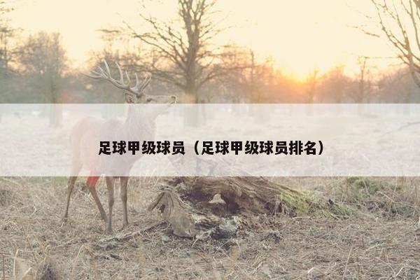 足球甲级球员(足球甲级球员排名) 足球甲级球员(足球甲级球员排名)