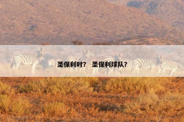 圣保利时? 圣保利球队? 圣保利时? 圣保利球队?