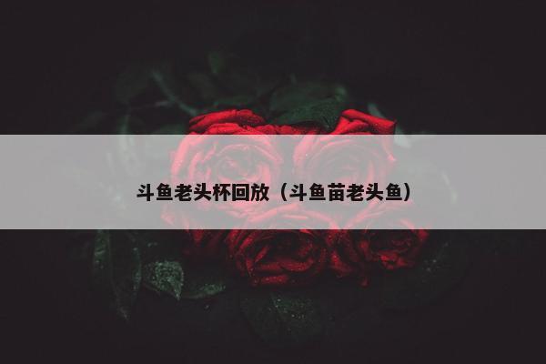 斗鱼老头杯回放（斗鱼苗老头鱼）