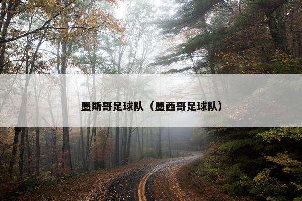 墨斯哥足球队（墨西哥足球队）