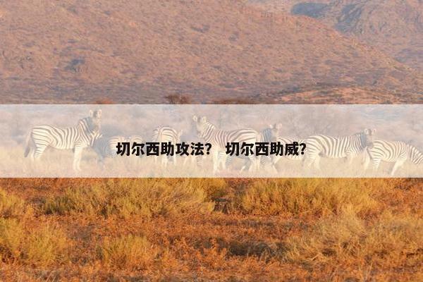 切尔西助攻法? 切尔西助威? 切尔西助攻法? 切尔西助威?