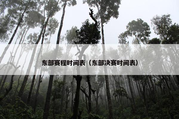 东部赛程时间表(东部决赛时间表) 东部赛程时间表(东部决赛时间表)