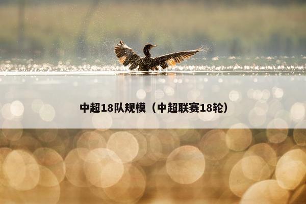 中超18队规模（中超联赛18轮）