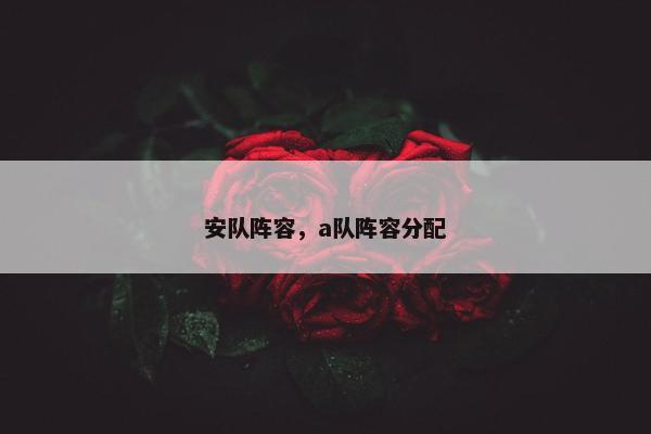 安队阵容，a队阵容分配