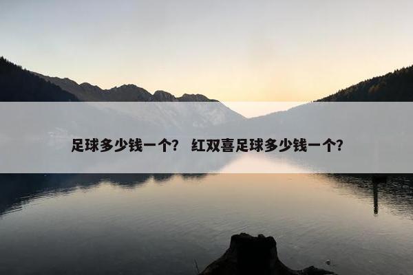 足球多少钱一个？ 红双喜足球多少钱一个？