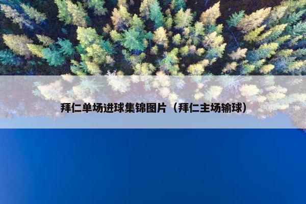 拜仁单场进球集锦图片（拜仁主场输球）