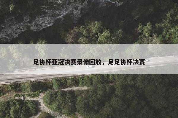 足协杯亚冠决赛录像回放，足足协杯决赛