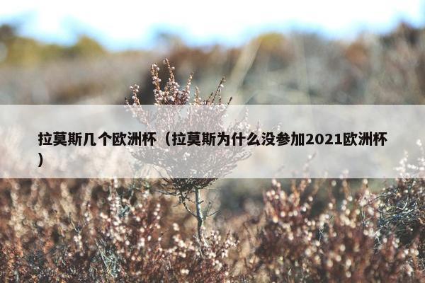 拉莫斯几个欧洲杯（拉莫斯为什么没参加2021欧洲杯）